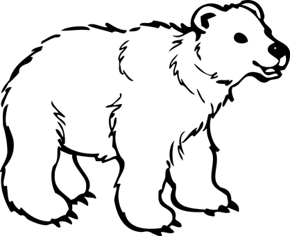 Abstract Bear Face Silhouette PNG Image