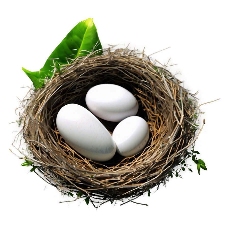 Abstract Bird Nest Png Hru PNG Image