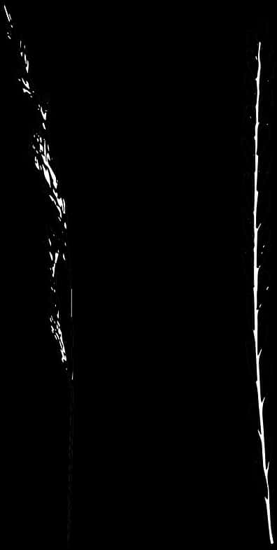 Abstract_ Black_and_ White_ Contrast PNG Image