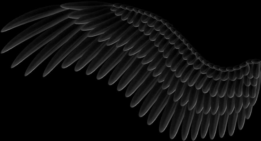 Abstract Black Wing Design PNG Image