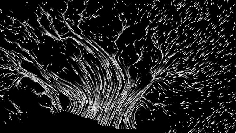 Abstract Blackand White Flowing Lines PNG Image