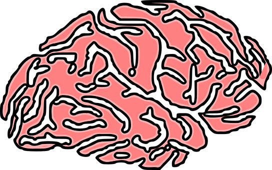 Abstract Brain Illustration PNG Image