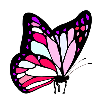 Abstract Butterfly Graphic PNG Image