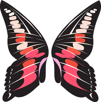 Abstract Butterfly Illustration PNG Image