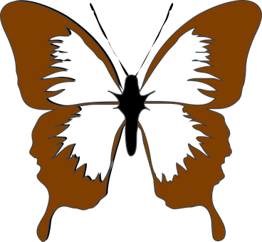 Abstract_ Butterfly_ Silhouette PNG Image