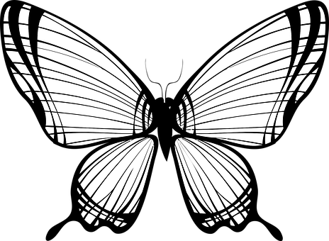 Abstract Butterfly Silhouette PNG Image