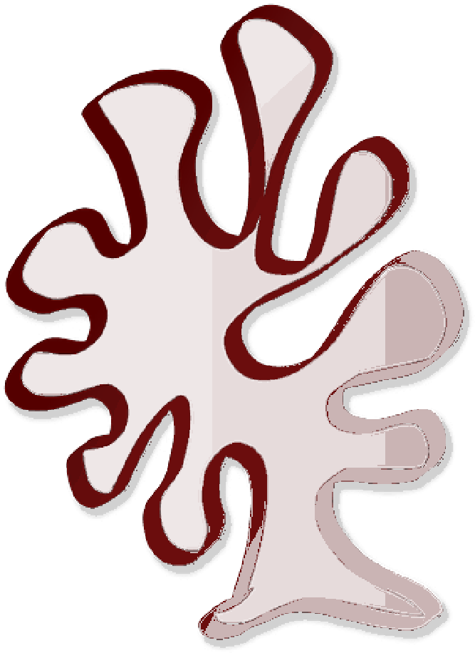 Abstract Coral Graphic PNG Image