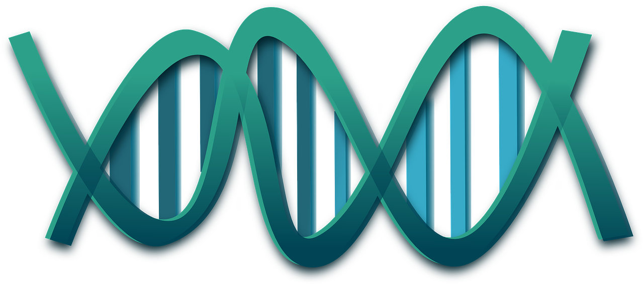 Abstract D N A Double Helix Illustration PNG Image