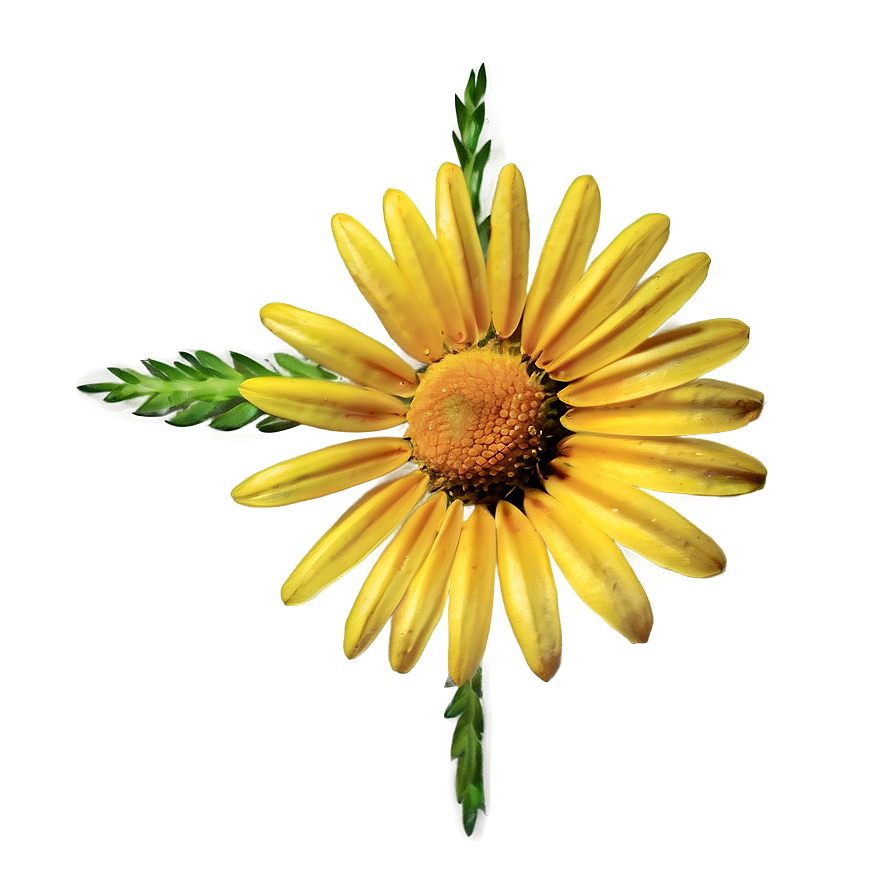 Abstract Daisy Png Amk PNG Image