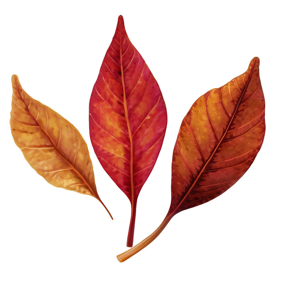 Abstract Fall Leaf Png Asi PNG Image