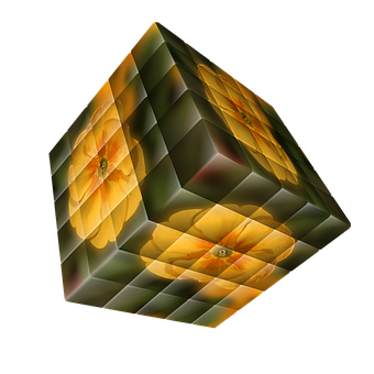 Abstract Floral Cube Illusion PNG Image