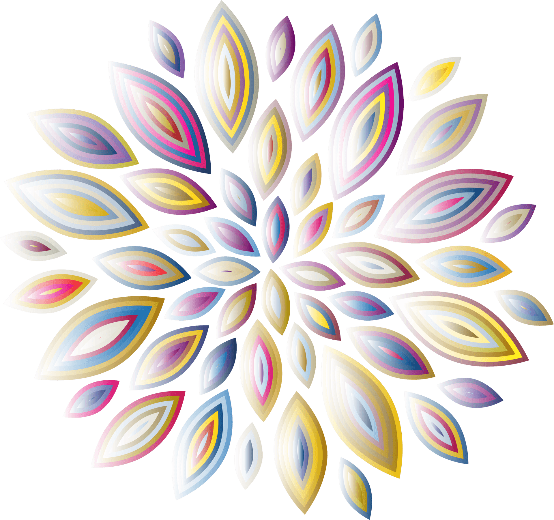 Abstract Floral Petal Design PNG Image