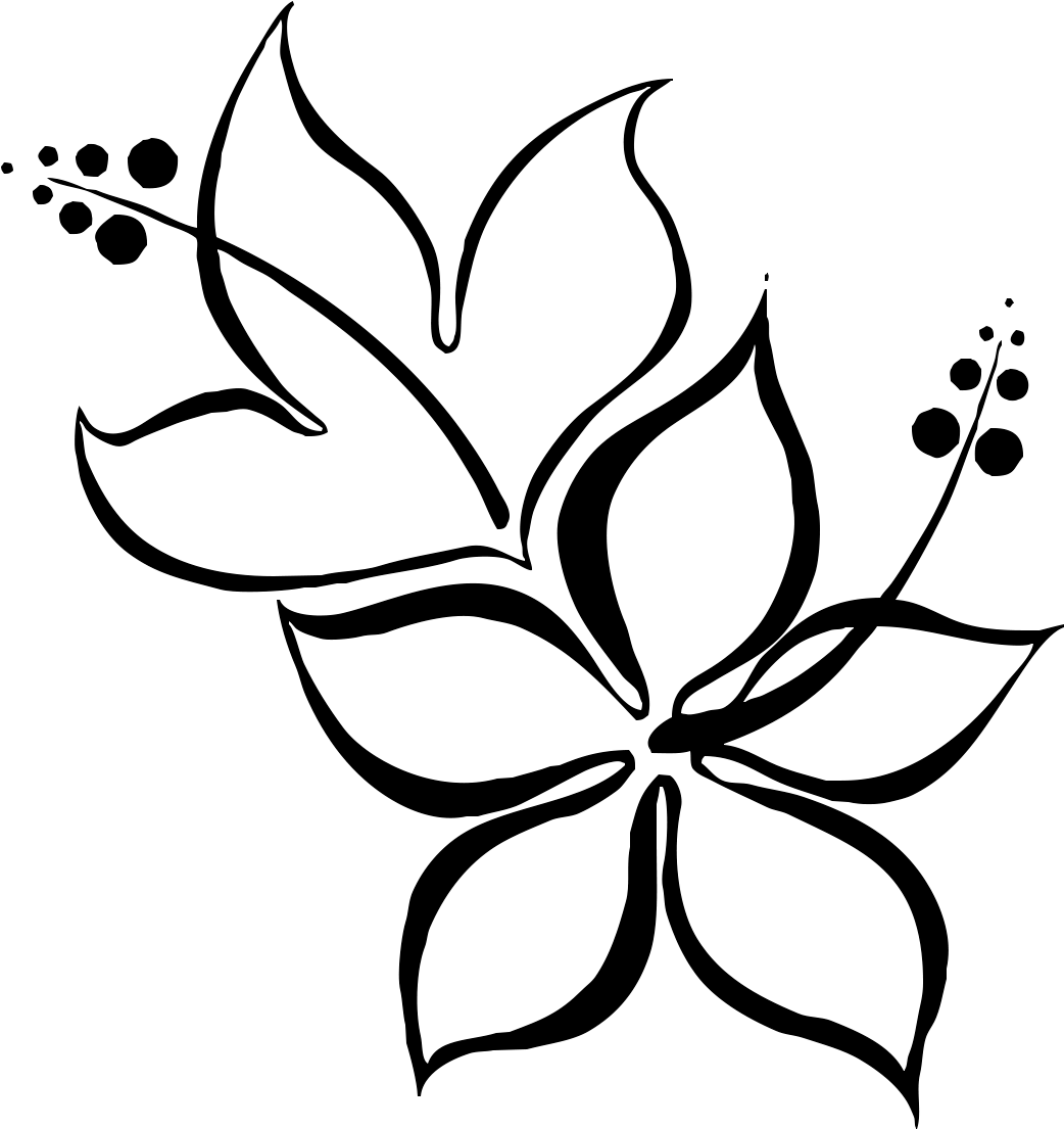 Abstract Floral Sketch Art PNG Image