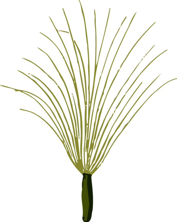 Abstract Grass Flower Illustration PNG Image