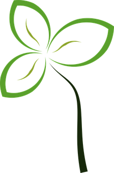 Abstract Green Leaf Design PNG Image