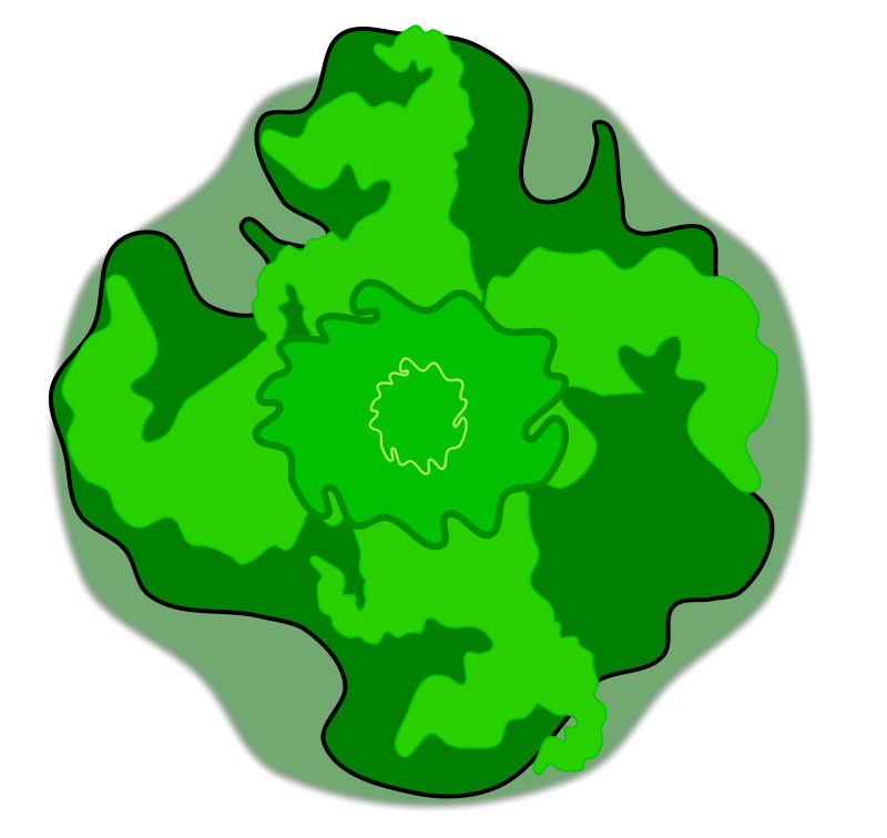 Abstract Green Tree Top View PNG Image