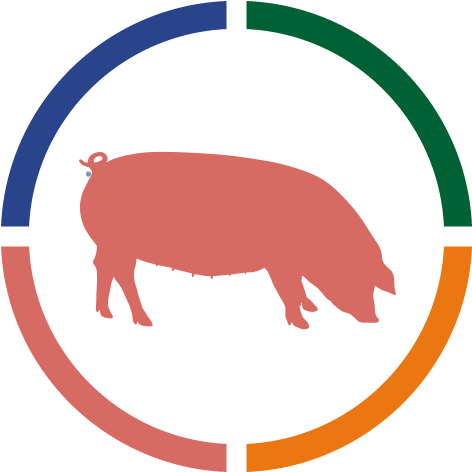 Abstract Hippo Color Wheel Graphic PNG Image