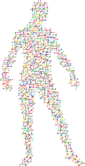 Abstract Human Figure Composedof Colored Lines PNG Image