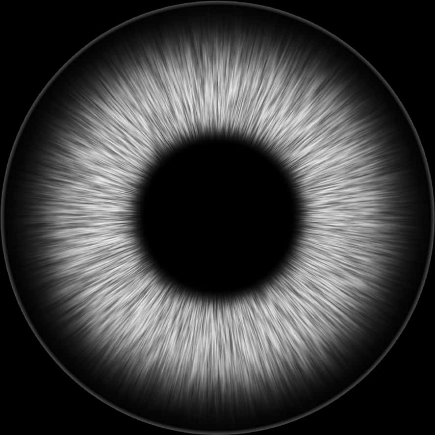 Abstract Iris Pattern Blackand White PNG Image