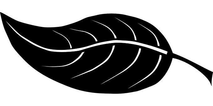 Abstract Leaf Design Blackand White PNG Image