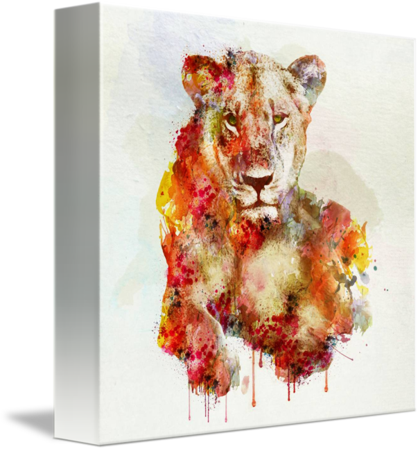 Abstract Lioness Watercolor Art PNG Image