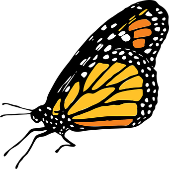 Abstract Monarch Butterfly Wing Art PNG Image