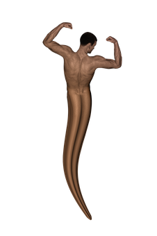 Abstract Muscular Figure Showing Off Biceps PNG Image