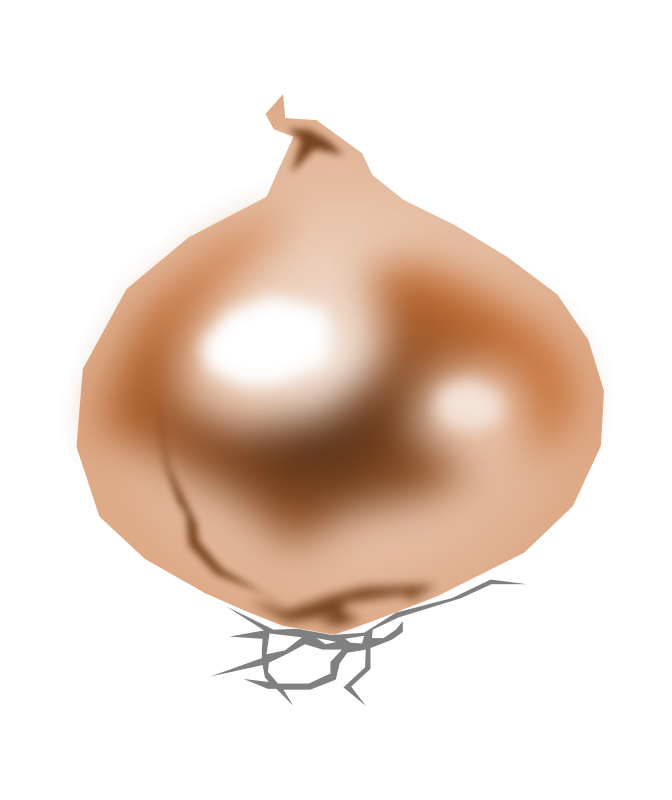 Abstract Onion Illustration PNG Image