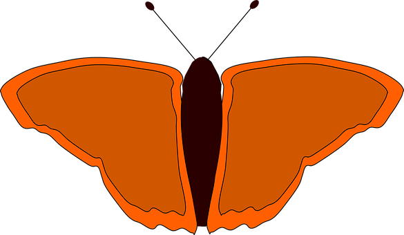 Abstract Orange Butterfly Silhouette PNG Image