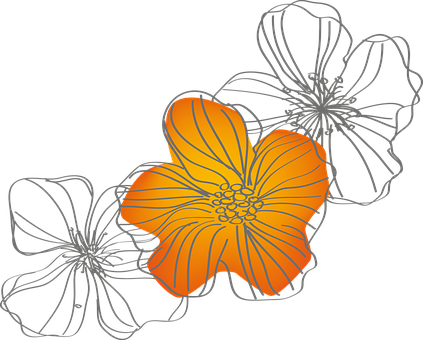 Abstract Orange Flower Illustration PNG Image