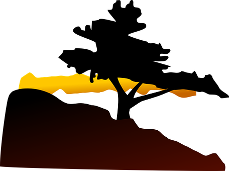 Abstract Savanna Sunset Silhouette PNG Image