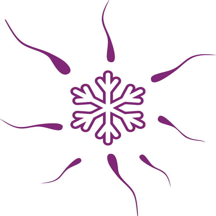 Abstract Snowflake Design PNG Image