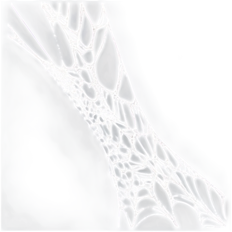 Abstract Spider Web Art PNG Image