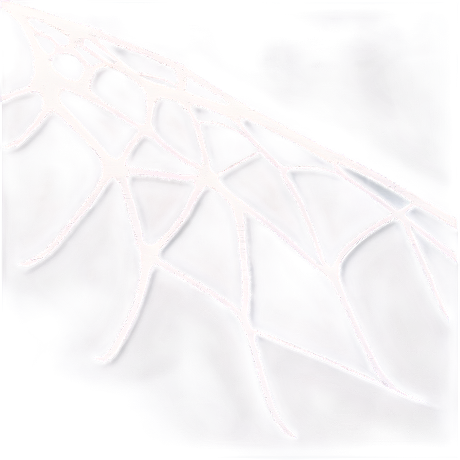 Abstract Spider Web Artwork PNG Image