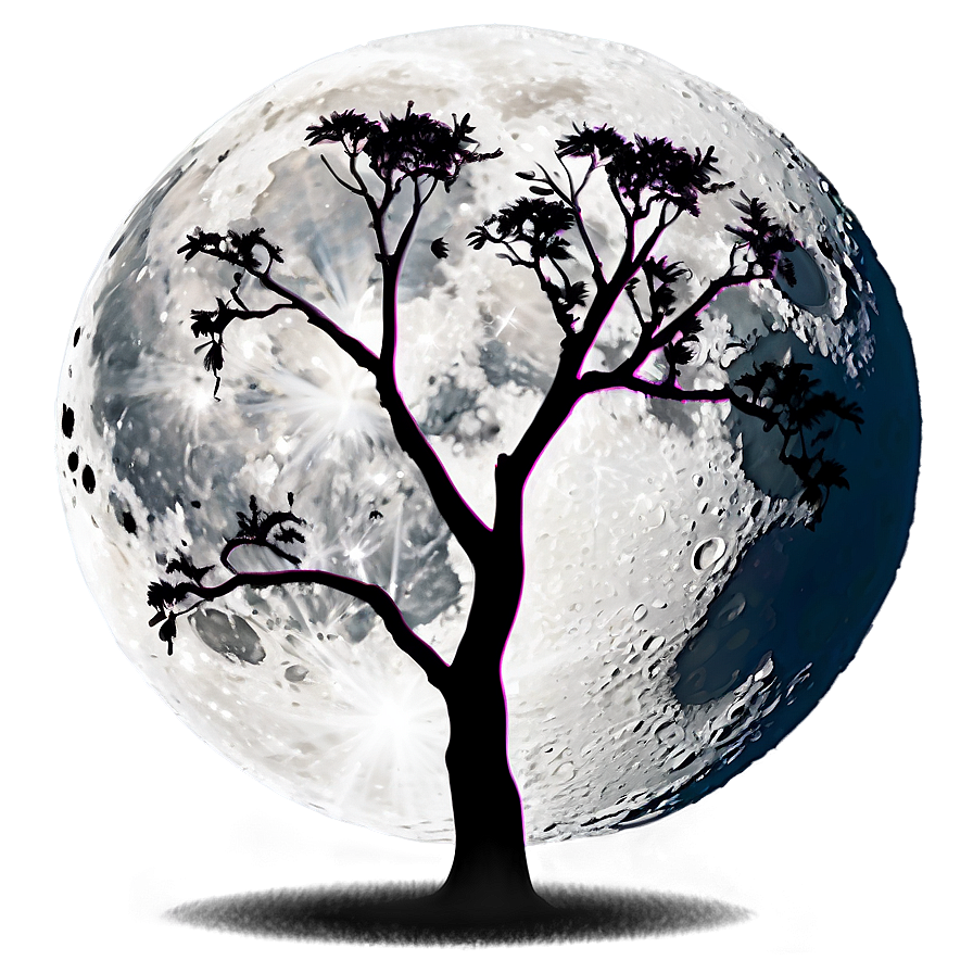 Acacia Tree Full Moon Night Png 3 PNG Image