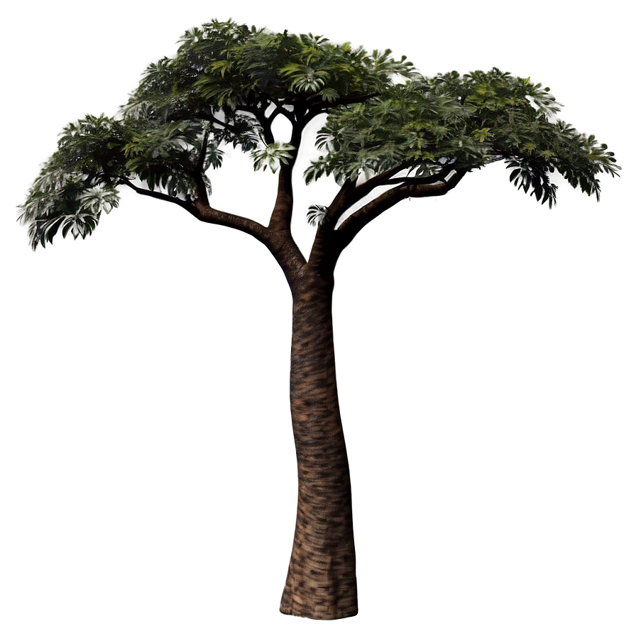 Acacia Tree In African Art Png Bjx43 PNG Image