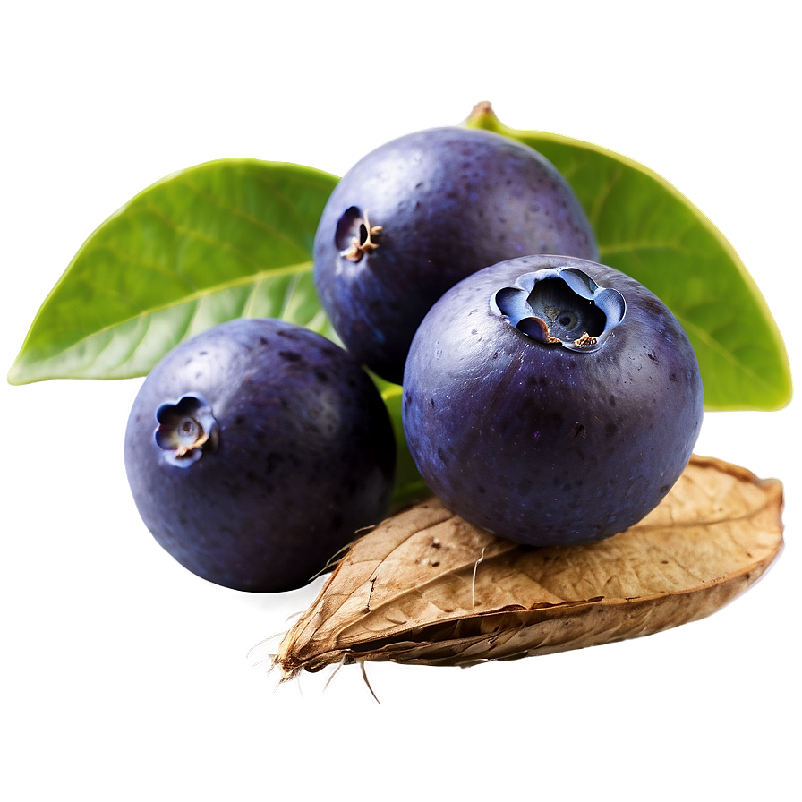 Açai A PNG Image