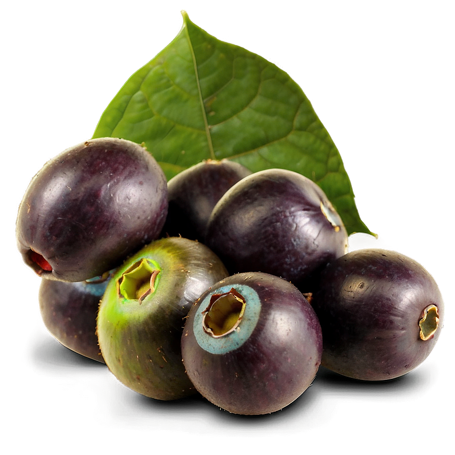 Acai Berry Farming Png Dvd PNG Image