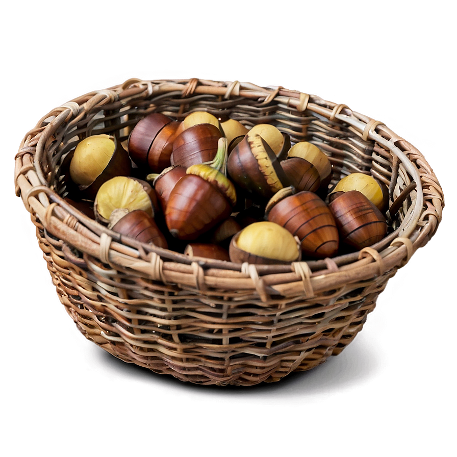 Acorn In Basket Png 65 PNG Image