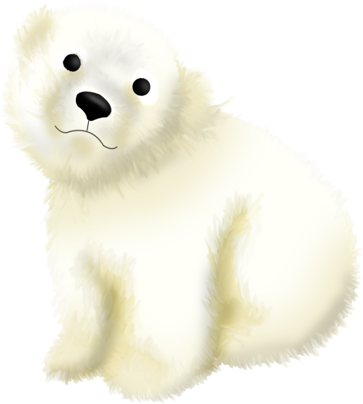 Adorable Baby Polar Bear Illustration PNG Image