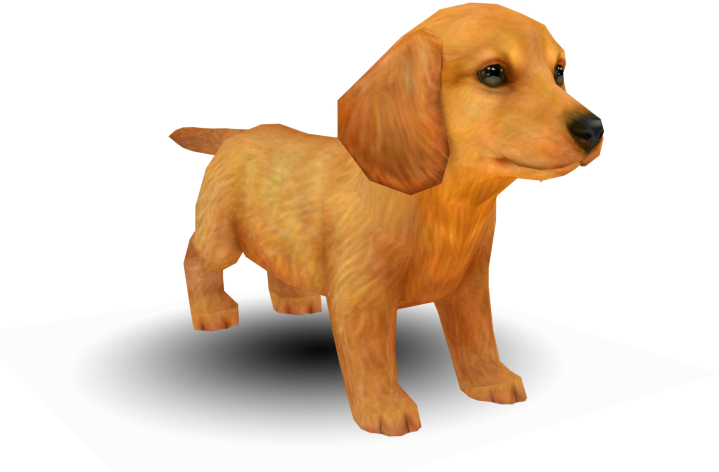 Adorable Dachshund Puppy Graphic PNG Image