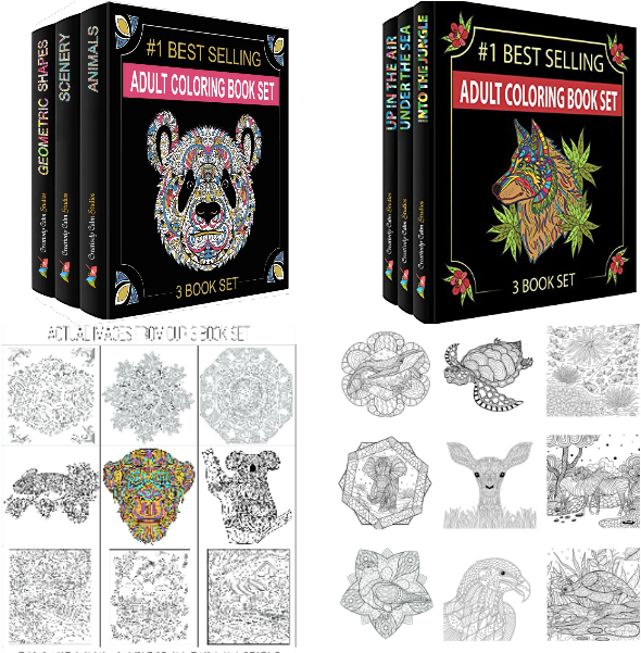 Adult Coloring Book Set Showcase PNG Image