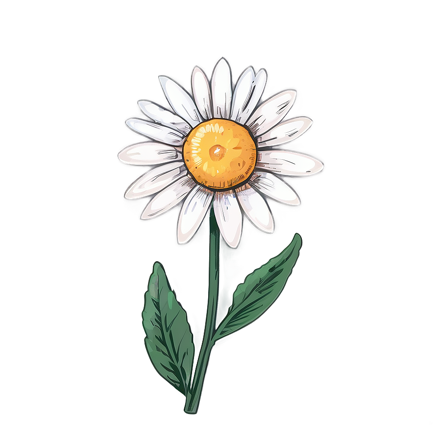 Aesthetic Daisy Flower Charm Png 06112024 PNG Image