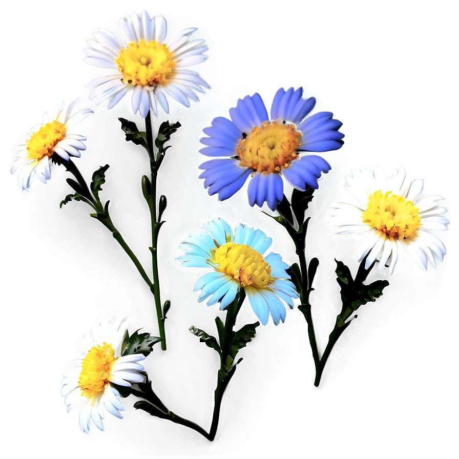 Aesthetic Flowers Overlay Png 06282024 PNG Image