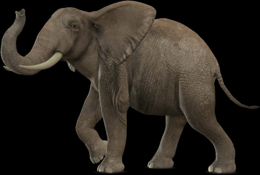 African Elephant Walking Isolated Background PNG Image