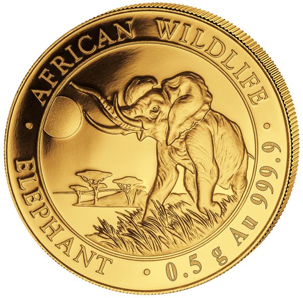 African Wildlife Elephant Gold Coin PNG Image