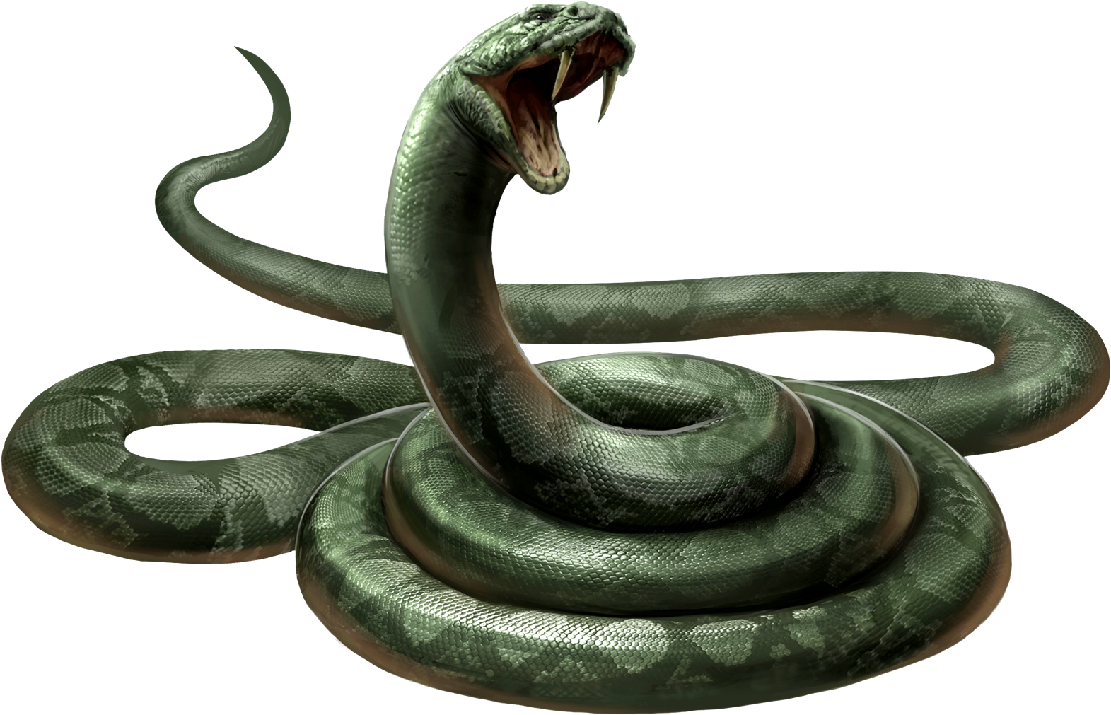 Aggressive Cobra Pose PNG Image