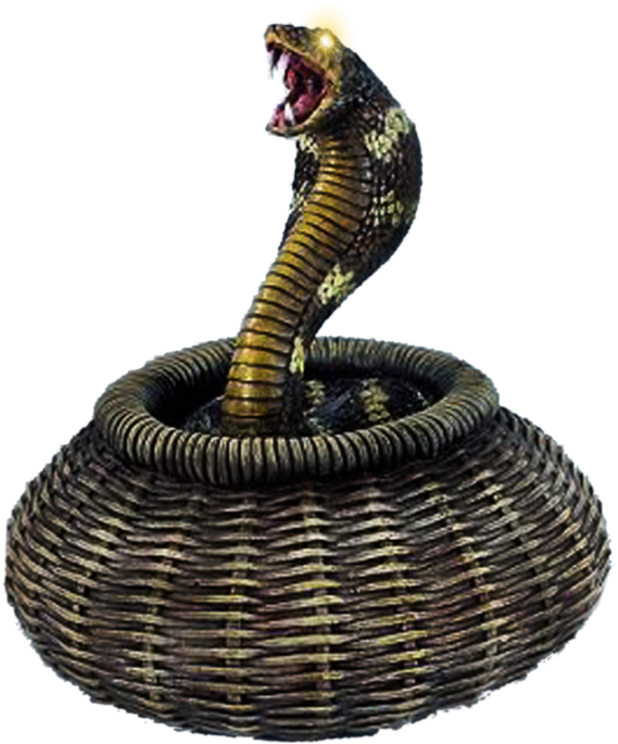 Aggressive Cobrain Basket PNG Image