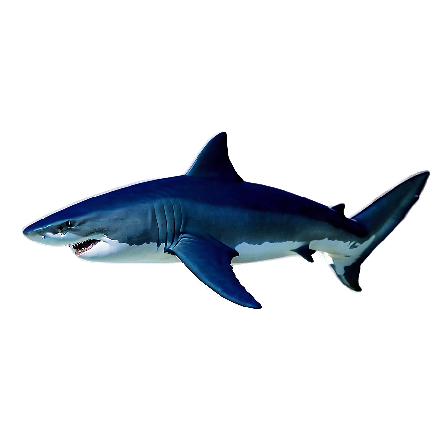 Aggressive Shark Png 06112024 PNG Image