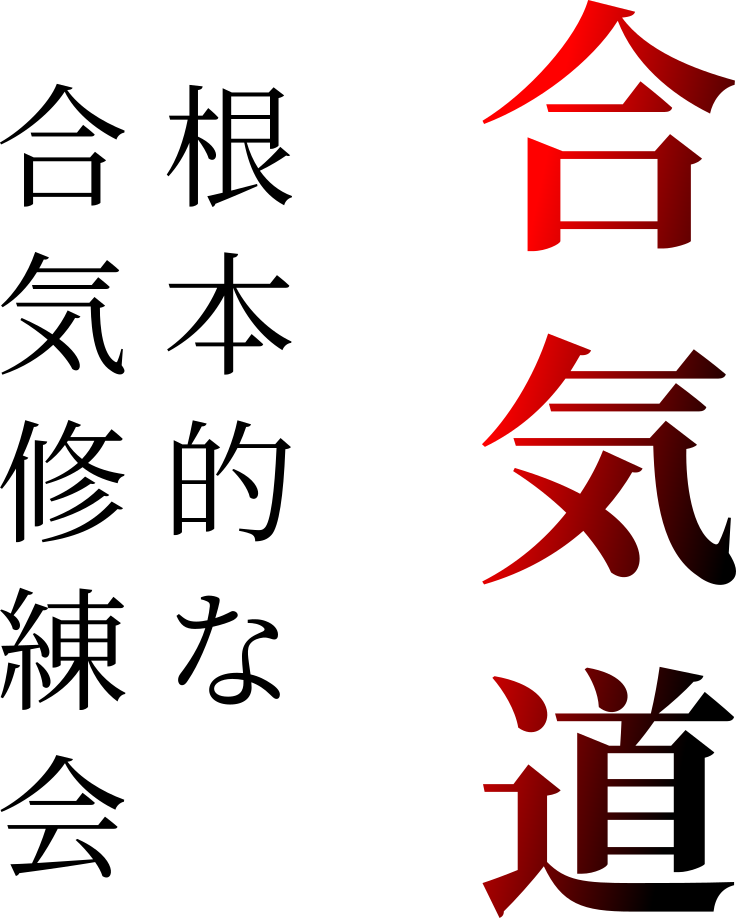 Aikido Kanji Artwork PNG Image